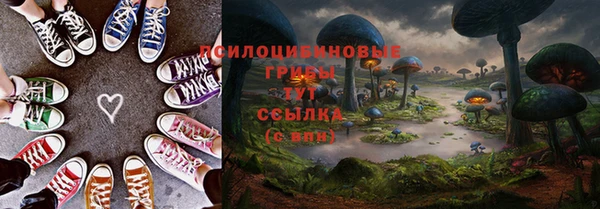 тгк Алексин