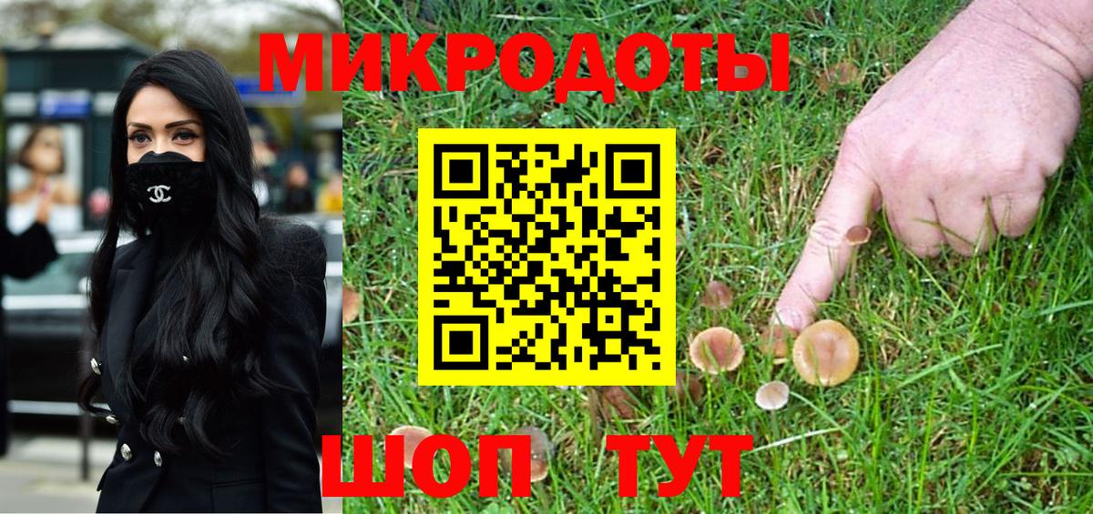 Канаш  Галлюциногенные грибы GOLDEN TEACHER  Вход с VPN 