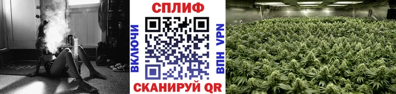 kraken ссылки  Канаш  Марихуана White Widow 